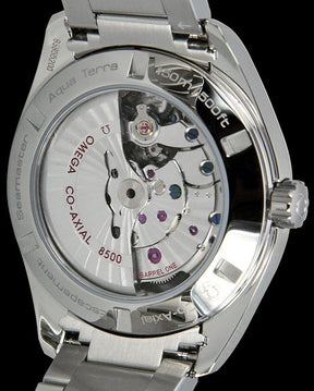 Seamaster Aqua Terra 231.10.42.21.02.002