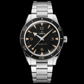 Seamaster 300 Co-Axial Master Chronometer 234.30.41.21.01.001