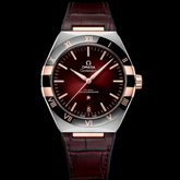 Constellation Co-Axial Master Chronometer 131.23.41.21.11.001